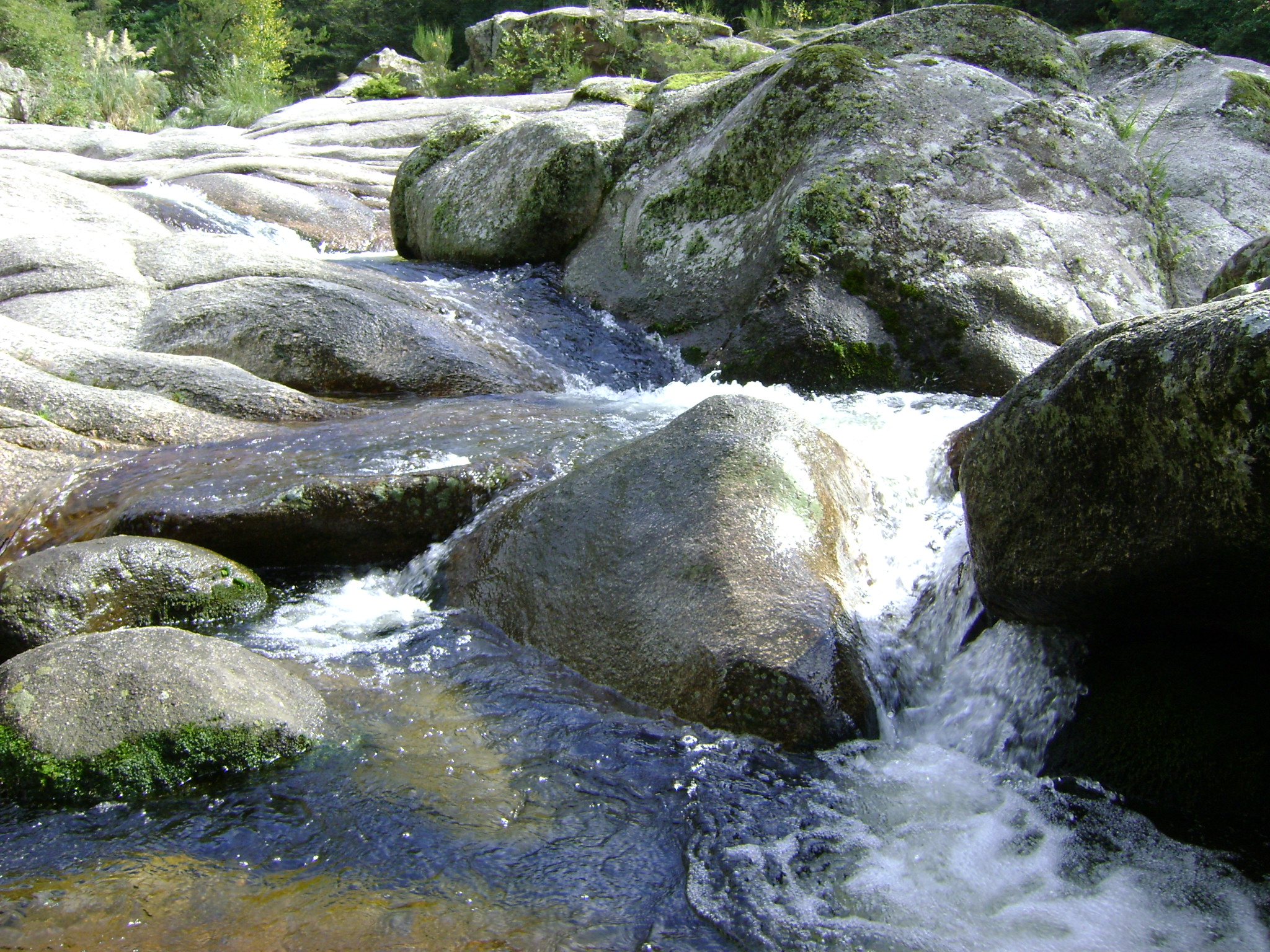 fotos/2011 - Los Reartes/DSC03403.JPG